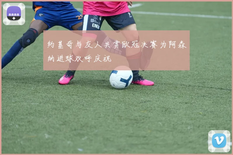 约基奇与友人共赏欧冠决赛为阿森纳进球欢呼庆祝